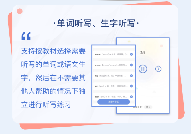 单词、生字听写 单词、生字听写