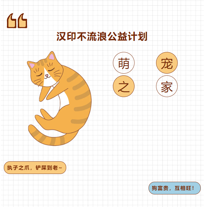 FB体育不流离公益打算.png FB体育不流离公益打算.png