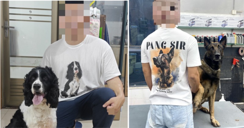 宠物个性化服装定造 宠物个性化服装定造