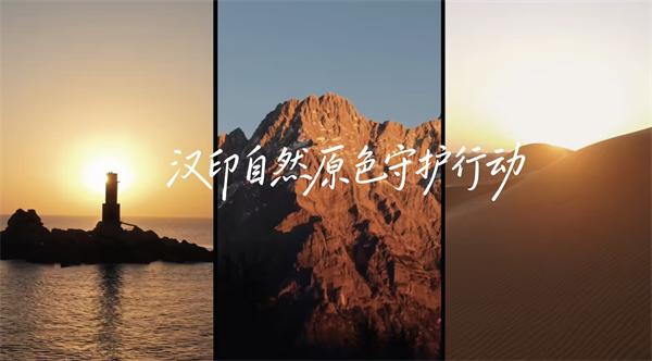 FB体育三原色守护行动 FB体育三原色守护行动