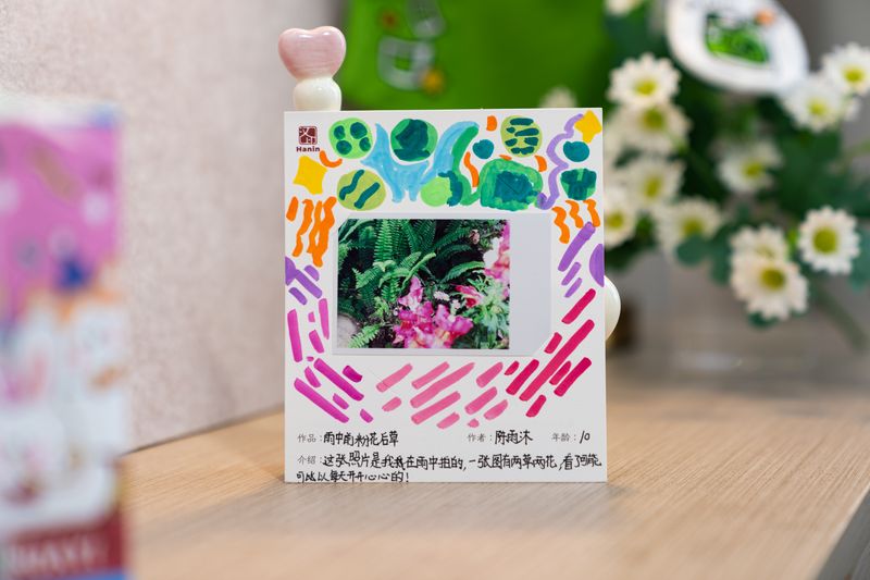 FB体育拍立得文章 雨中前粉花后草 FB体育拍立得文章 雨中前粉花后草